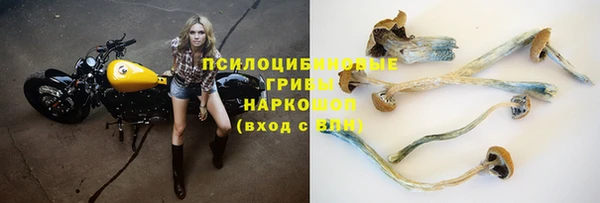 а пвп мука Алексеевка