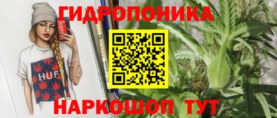 шишки Кулебаки