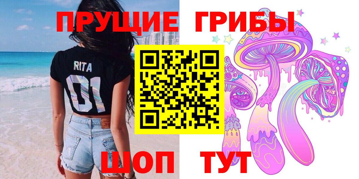 продажа наркотиков  Галлюциногенные грибы мицелий  Вход с VPN  Качканар  Псилоцибиновые грибы мицелий 
