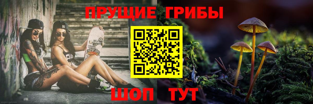 Псилоцибиновые грибы мицелий Качканар